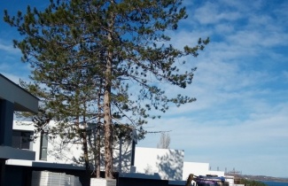 Вилно селище SONATA Sea Villas, гр. Ахотопол